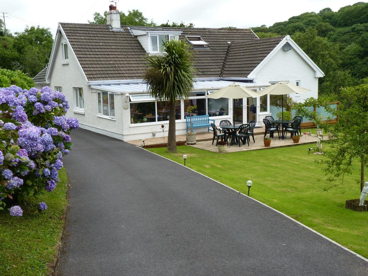 Mellieha Guest House Narberth Kültér fotó